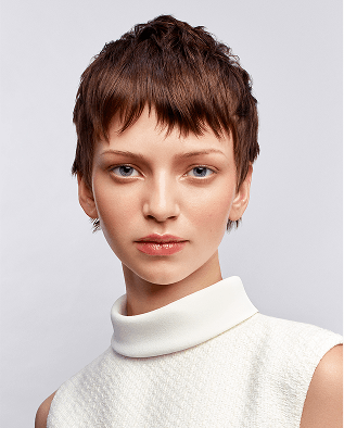 Model